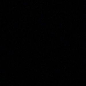 Meet your Posher, Saundra